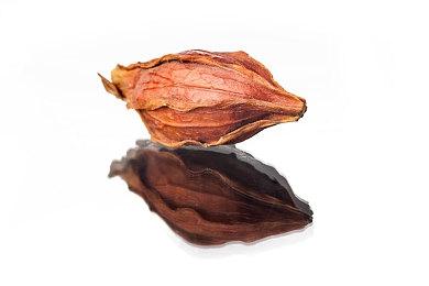 《原神》外服送福利：免费送玩家3个月油管会员